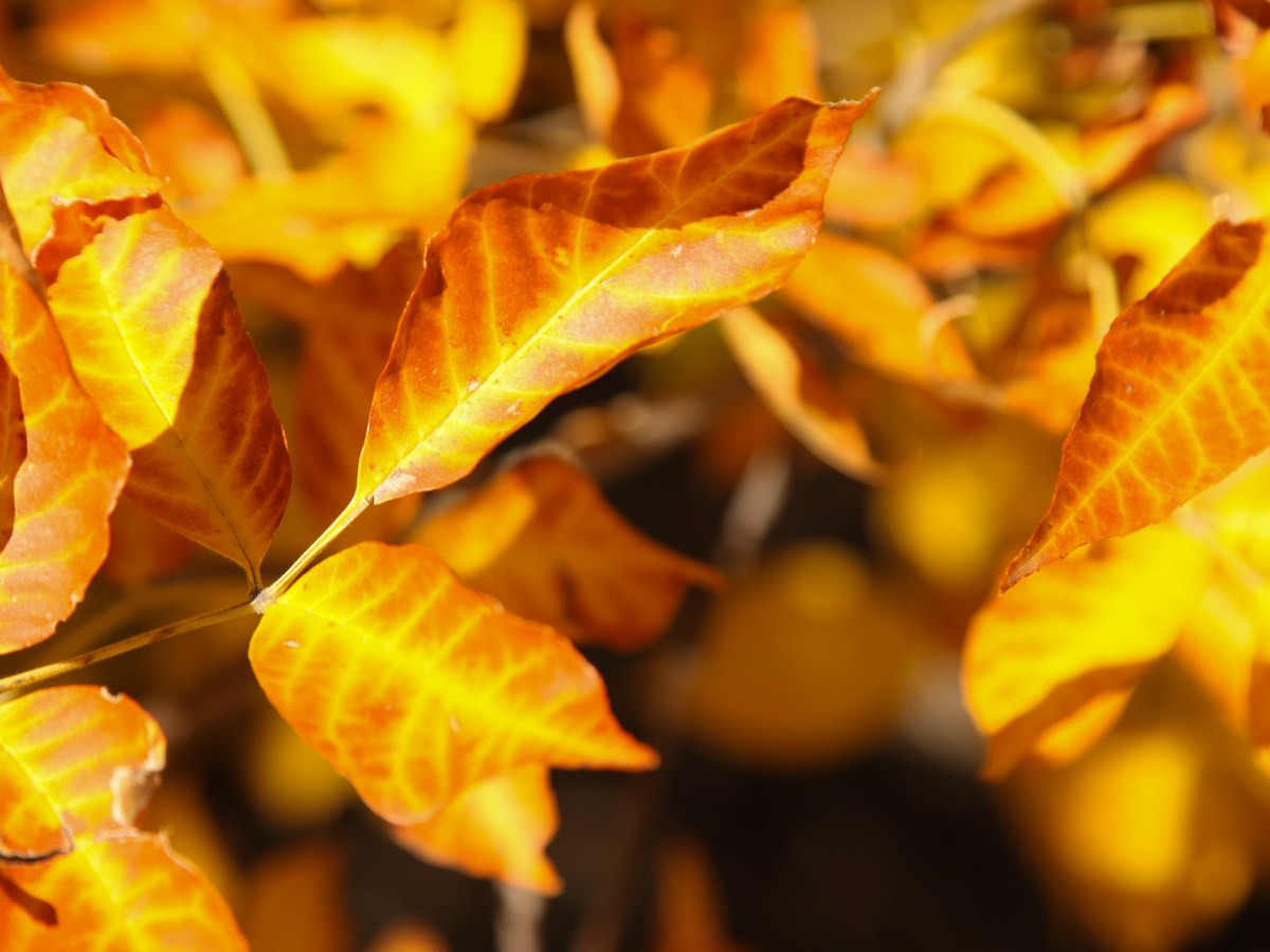 Welcoming fall and a new team&nbsp;member!