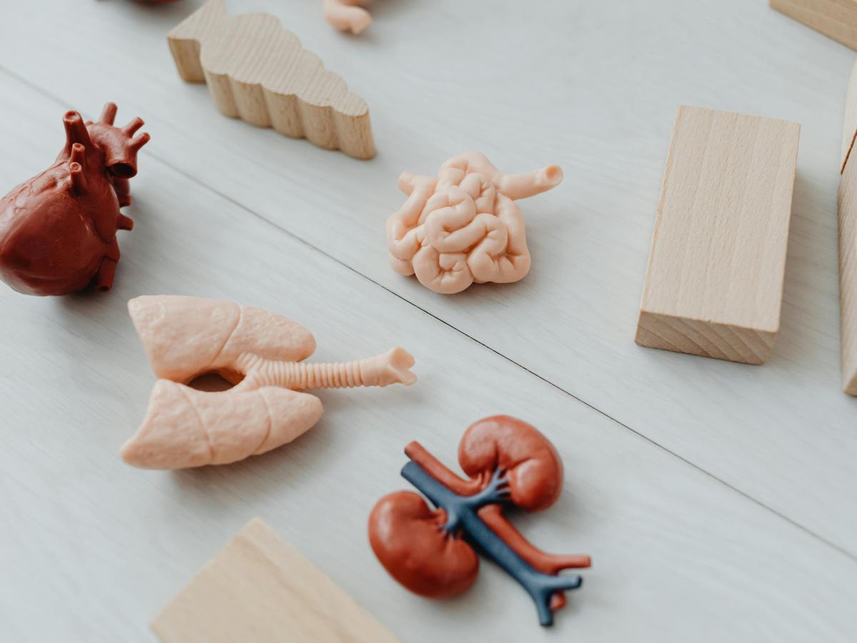 Asthma and Intimate Partner Abuse: Getting the Word out about New Research&nbsp;Findings