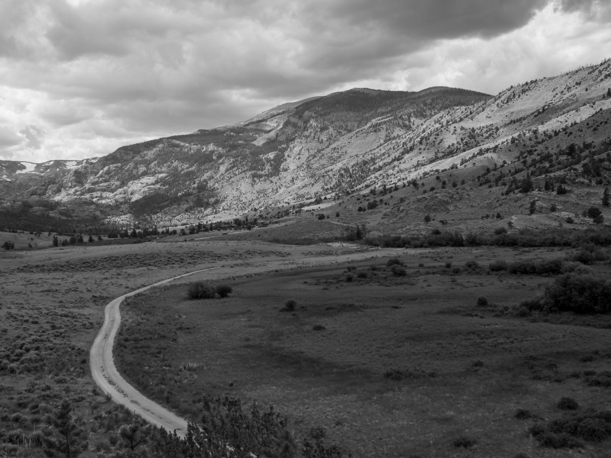 Surviving Across Borders: Immigration and Sexual&nbsp;Violence